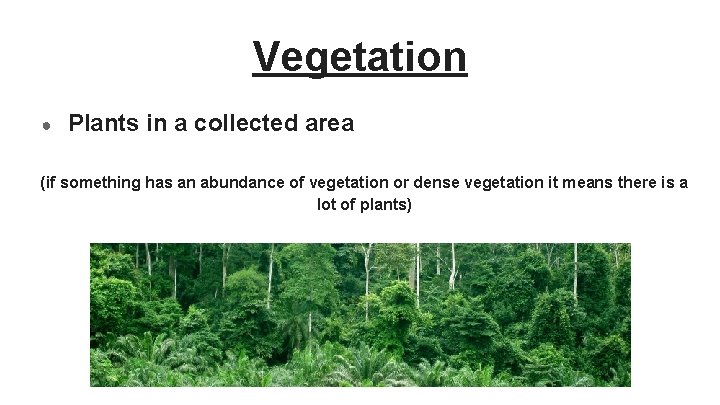 Vegetation ● Plants in a collected area (if something has an abundance of vegetation