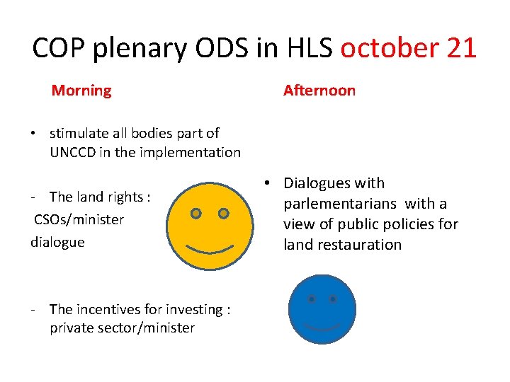 COP plenary ODS in HLS october 21 Morning Afternoon • stimulate all bodies part