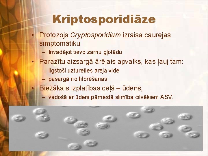 Kriptosporidiāze • Protozojs Cryptosporidium izraisa caurejas simptomātiku – Invadējot tievo zarnu gļotādu • Parazītu
