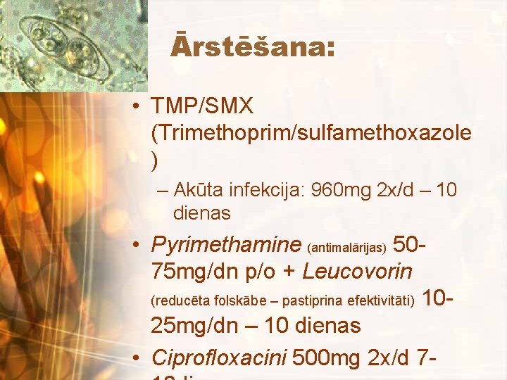 Ārstēšana: • TMP/SMX (Trimethoprim/sulfamethoxazole ) – Akūta infekcija: 960 mg 2 x/d – 10