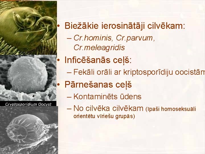  • Biežākie ierosinātāji cilvēkam: – Cr. hominis, Cr. parvum, Cr. meleagridis • Inficēšanās