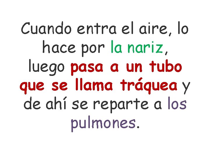 Cuando entra el aire, lo hace por la nariz, luego pasa a un tubo