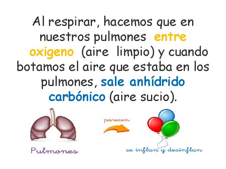 Al respirar, hacemos que en nuestros pulmones entre oxigeno (aire limpio) y cuando botamos