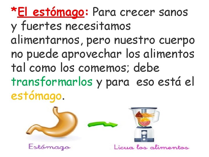 *El estómago: Para crecer sanos y fuertes necesitamos alimentarnos, pero nuestro cuerpo no puede