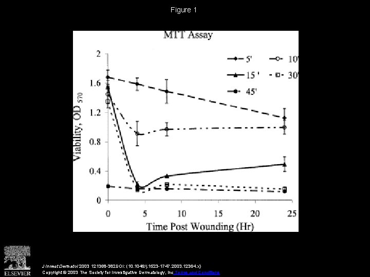 Figure 1 J Invest Dermatol 2003 121368 -382 DOI: (10. 1046/j. 1523 -1747. 2003.
