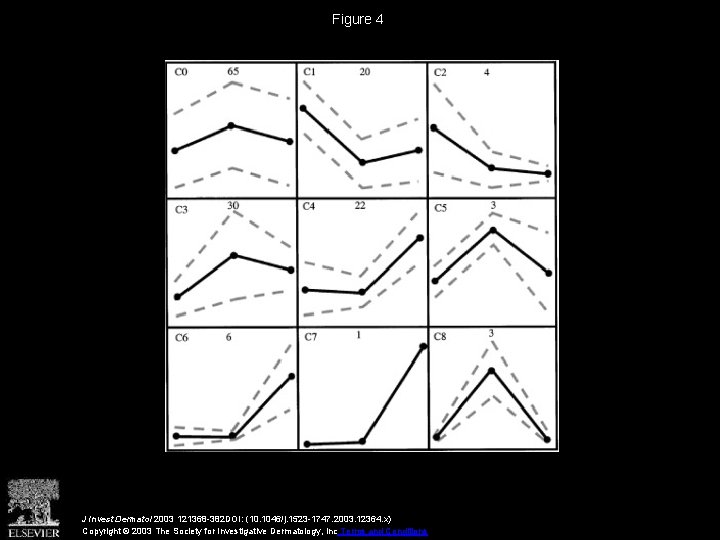 Figure 4 J Invest Dermatol 2003 121368 -382 DOI: (10. 1046/j. 1523 -1747. 2003.