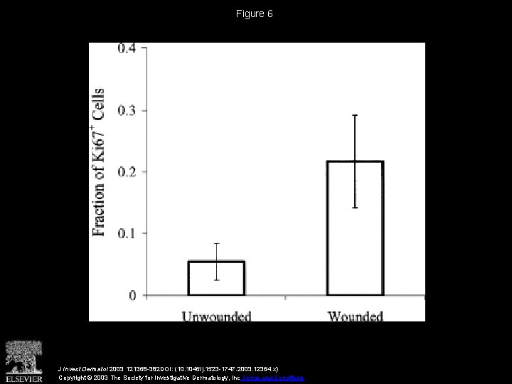 Figure 6 J Invest Dermatol 2003 121368 -382 DOI: (10. 1046/j. 1523 -1747. 2003.