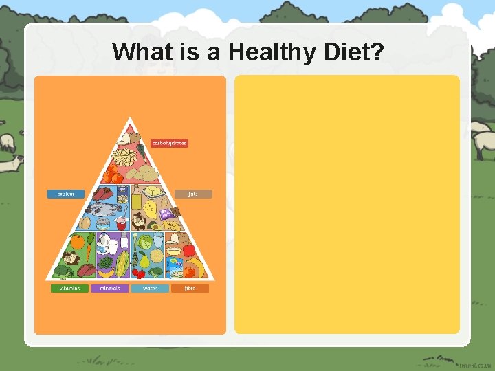 What is a Healthy Diet? 