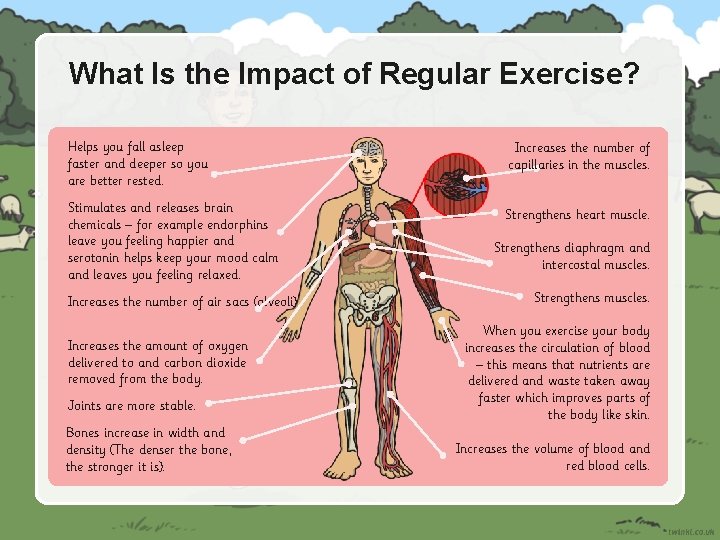 What Is the Impact of Regular Exercise? Helps you fall asleep faster and deeper