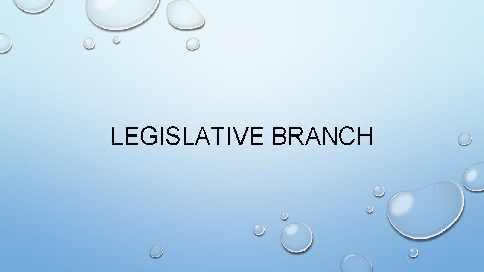 LEGISLATIVE BRANCH 