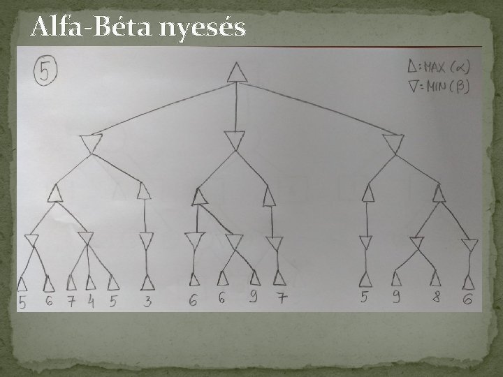 Alfa-Béta nyesés 