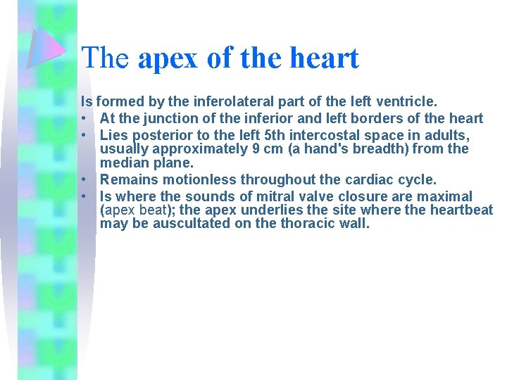 The apex of the heart Is formed by the inferolateral part of the left