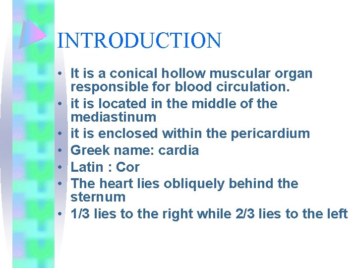 INTRODUCTION • It is a conical hollow muscular organ responsible for blood circulation. •