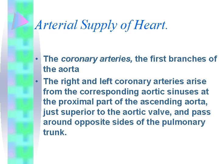 Arterial Supply of Heart. • The coronary arteries, the first branches of the aorta