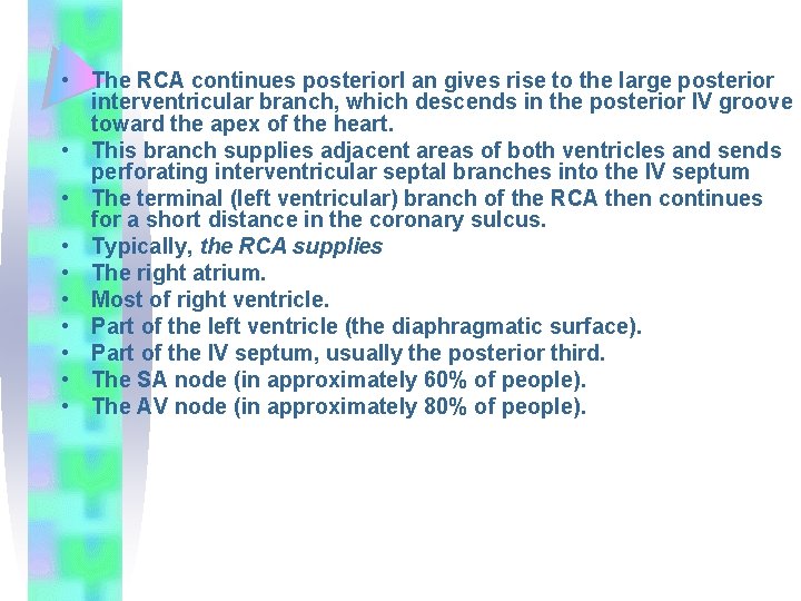  • The RCA continues posteriorl an gives rise to the large posterior interventricular