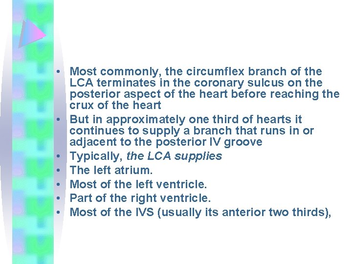  • Most commonly, the circumflex branch of the LCA terminates in the coronary
