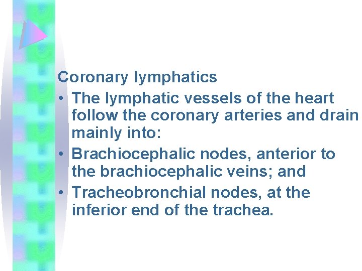 Coronary lymphatics • The lymphatic vessels of the heart follow the coronary arteries and