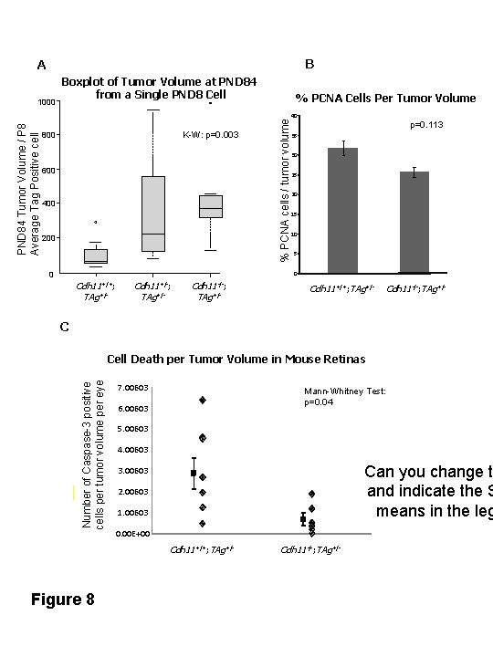 B A K-W: p=0. 003 800 600 400 200 % PCNA Cells Per Tumor