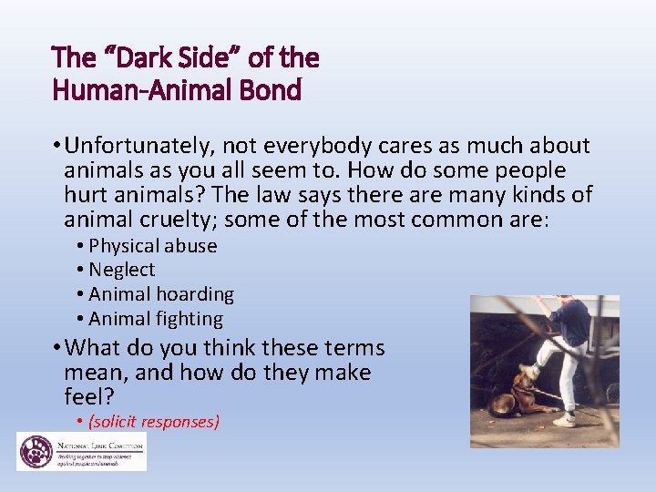 The Cruelty Connection Animal Abuse and Its Links