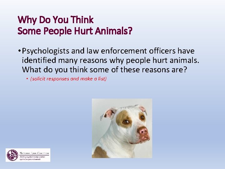 The Cruelty Connection Animal Abuse and Its Links