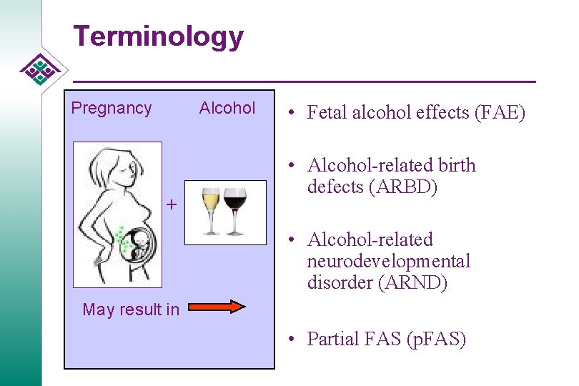 Terminology Pregnancy Alcohol + • Fetal alcohol effects (FAE) • Alcohol-related birth defects (ARBD)