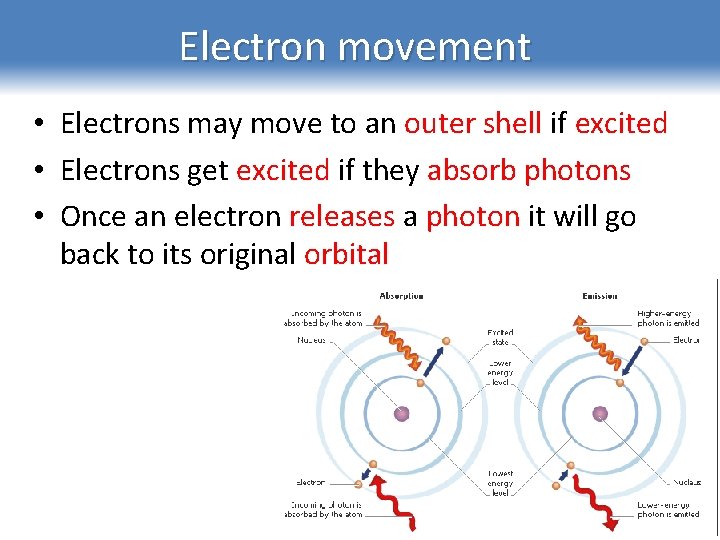 Electron movement • Electrons may move to an outer shell if excited • Electrons