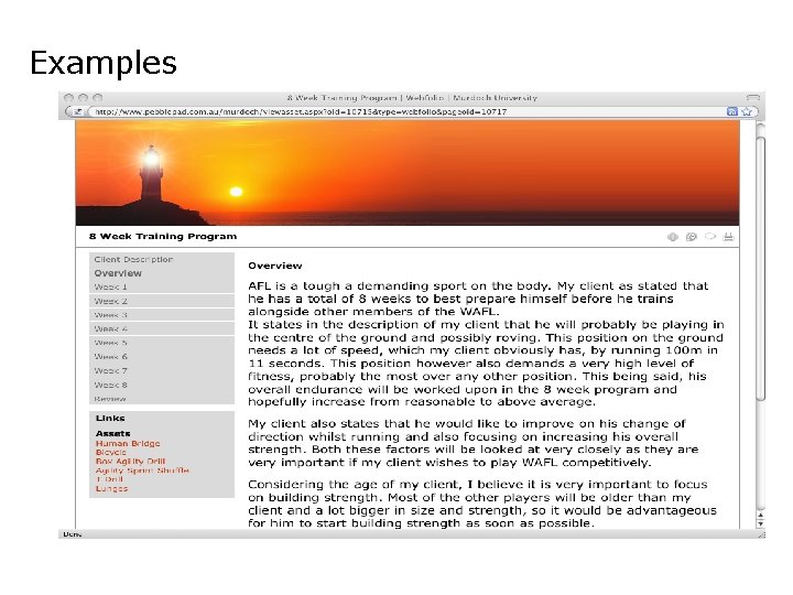 Examples Examples