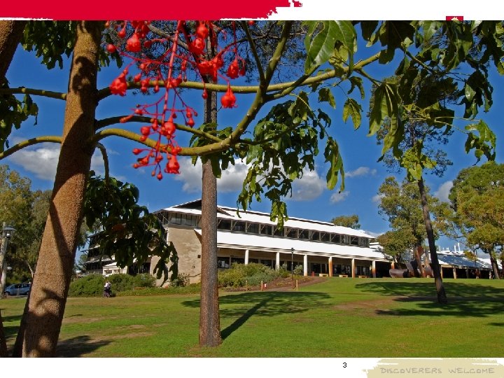 Murdoch University 3 Murdoch University 3