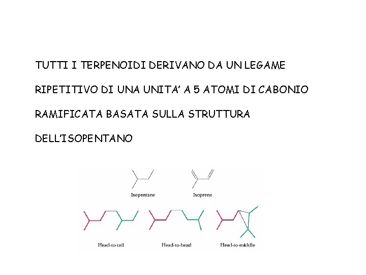 TUTTI I TERPENOIDI DERIVANO DA UN LEGAME RIPETITIVO DI UNA UNITA’ A 5 ATOMI