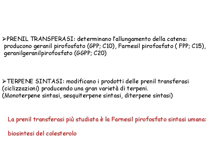 ØPRENIL TRANSFERASI: determinano l’allungamento della catena: producono geranil pirofosfato (GPP; C 10), Farnesil pirofosfato