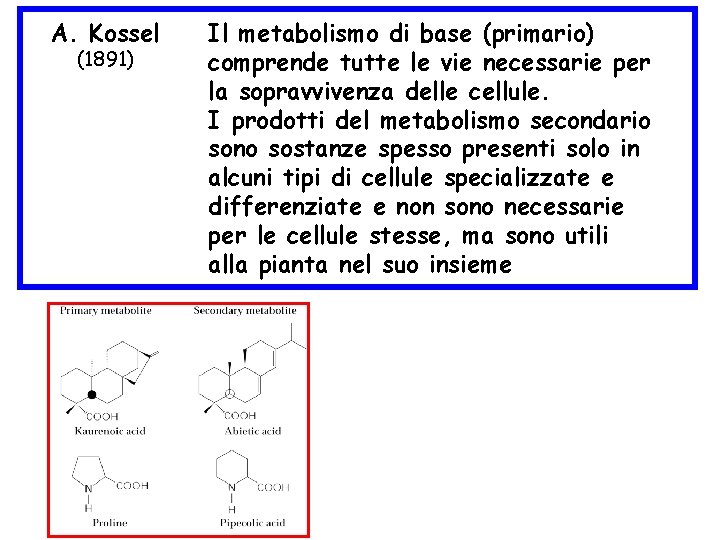 A. Kossel (1891) Il metabolismo di base (primario) comprende tutte le vie necessarie per