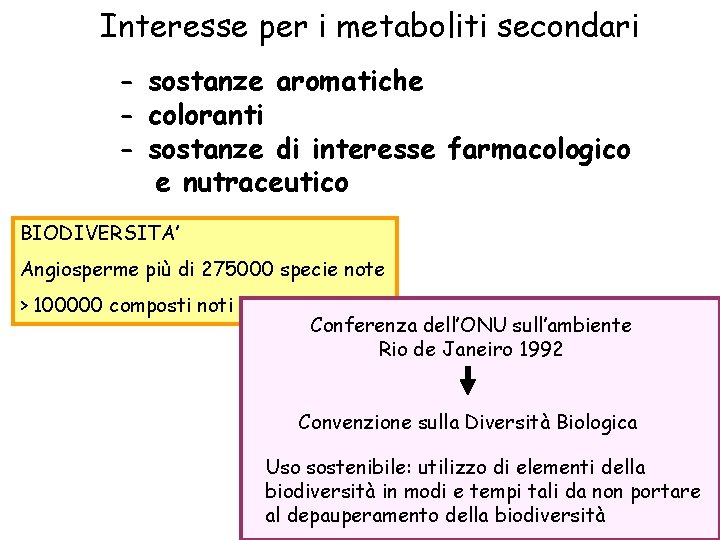 Interesse per i metaboliti secondari - sostanze aromatiche - coloranti - sostanze di interesse