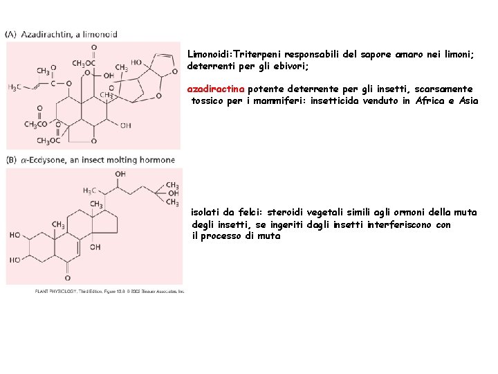 Limonoidi: Triterpeni responsabili del sapore amaro nei limoni; deterrenti per gli ebivori; azadiractina potente