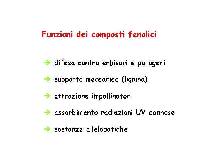 Funzioni dei composti fenolici è difesa contro erbivori e patogeni è supporto meccanico (lignina)