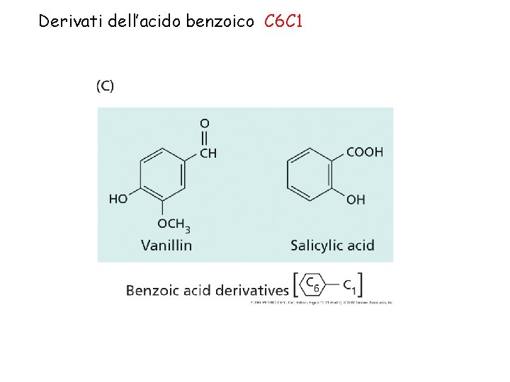 Derivati dell’acido benzoico C 6 C 1 