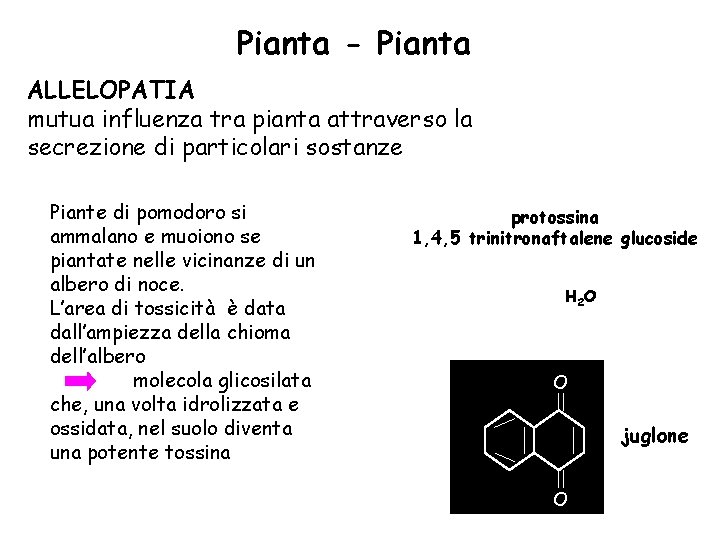 Pianta - Pianta ALLELOPATIA mutua influenza tra pianta attraverso la secrezione di particolari sostanze