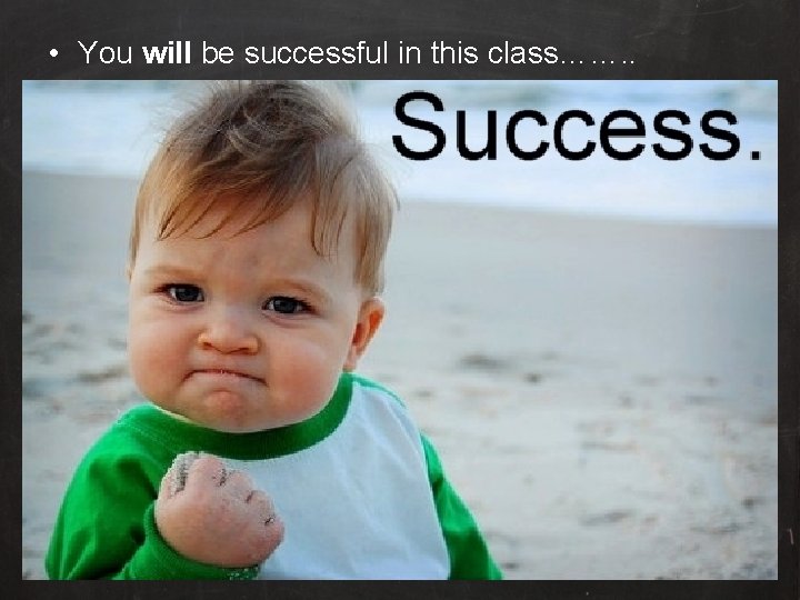  • You will be successful in this class……. . 