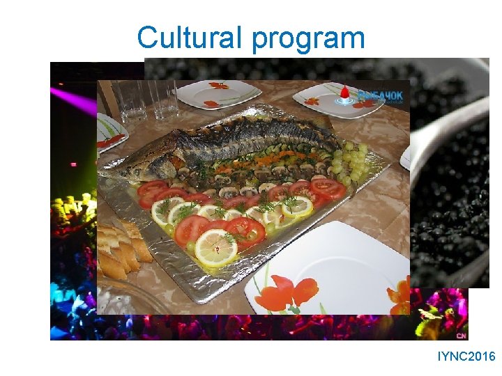 Cultural program IYNC 2016 