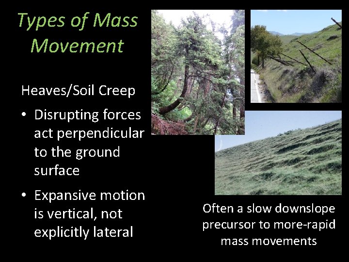 Types of Mass Movement Heaves/Soil Creep • Disrupting forces act perpendicular to the ground