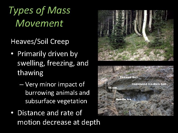 Types of Mass Movement Heaves/Soil Creep • Primarily driven by swelling, freezing, and thawing