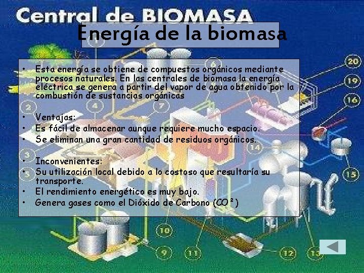 Energía de la biomasa • Esta energía se obtiene de compuestos orgánicos mediante procesos