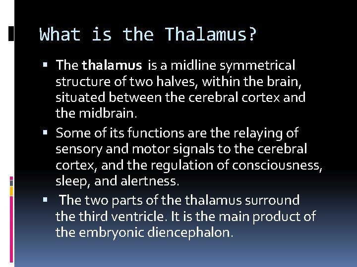 What is the Thalamus? The thalamus is a midline symmetrical structure of two halves,