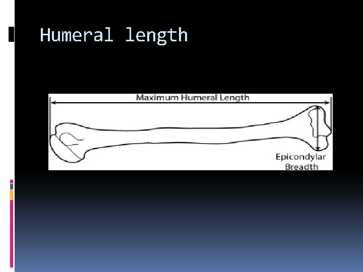 Humeral length 