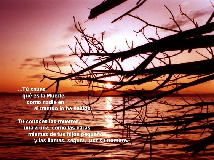 . . . Tú sabes qué es la Muerte, como nadie en el mundo