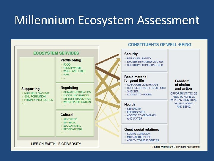 Millennium Ecosystem Assessment 