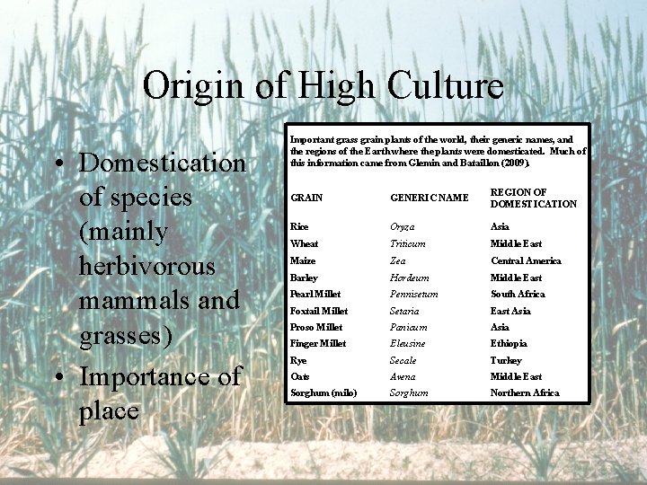Origin of High Culture • Domestication of species (mainly herbivorous mammals and grasses) •