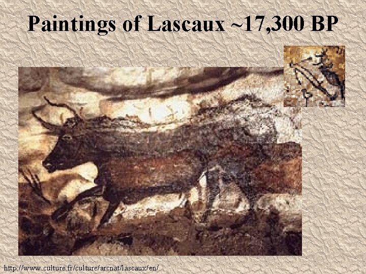 Paintings of Lascaux ~17, 300 BP http: //www. culture. fr/culture/arcnat/lascaux/en/ 