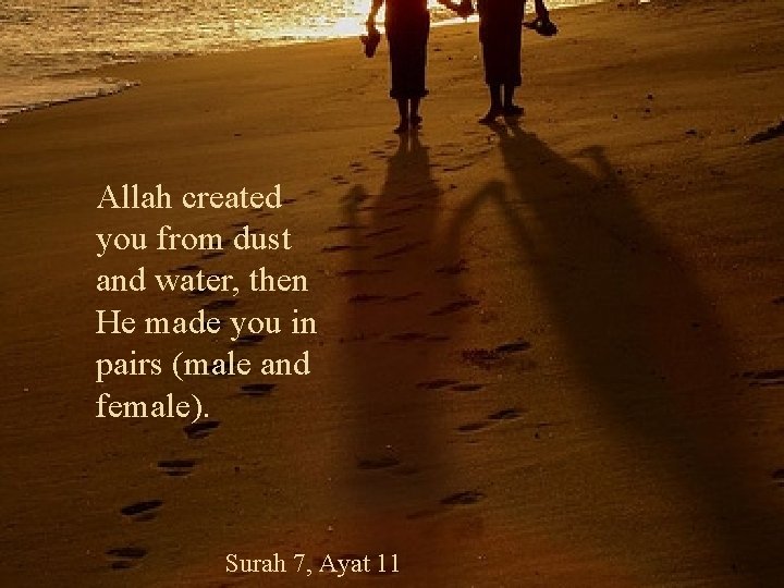 Allah created you from dust and water, then He made you in pairs (male