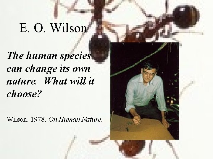 E. O. Wilson The human species can change its own nature. What will it