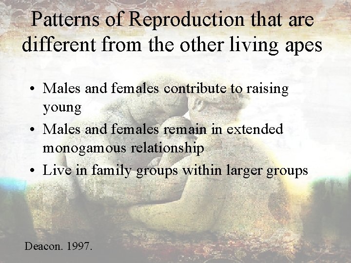 Patterns of Reproduction that are different from the other living apes • Males and